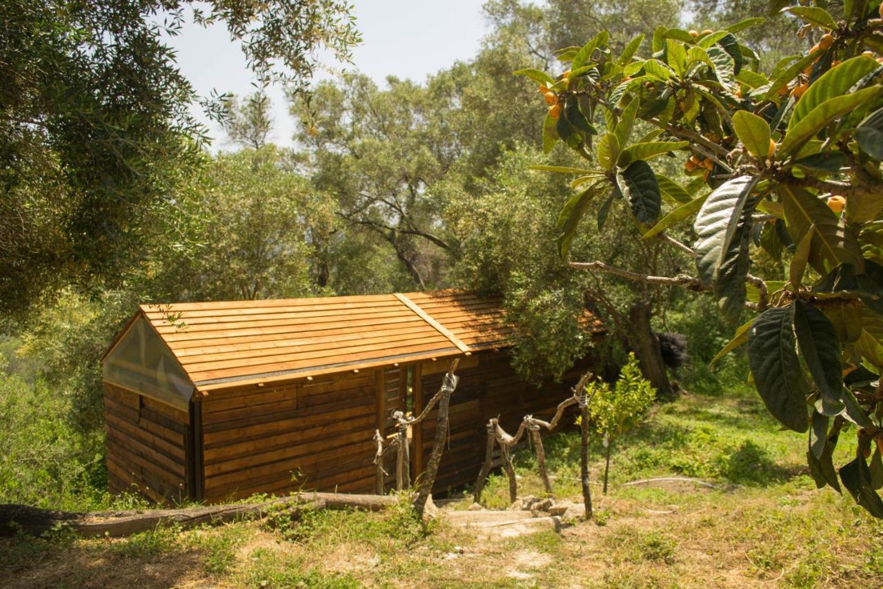 Pelekas Olive Grove Oasis Room No4 Exterior photo